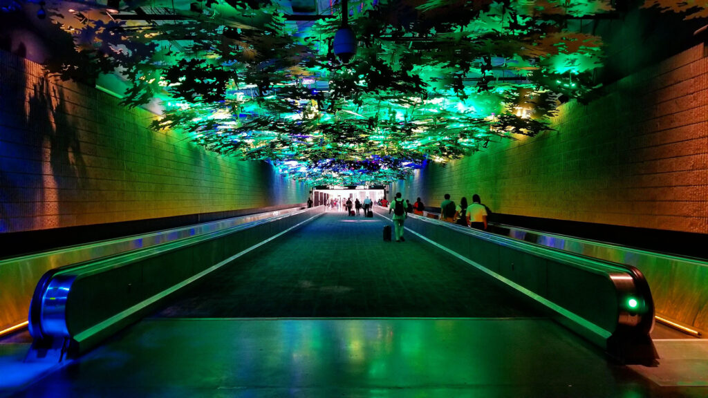 Underground walkway at Atlanta's Hartsfield-Jackson International Airport that is designed to look and sound like a rainforest.
