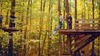 Ziplining through colorful autumn trees.