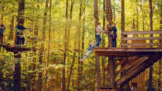 Ziplining through colorful autumn trees.